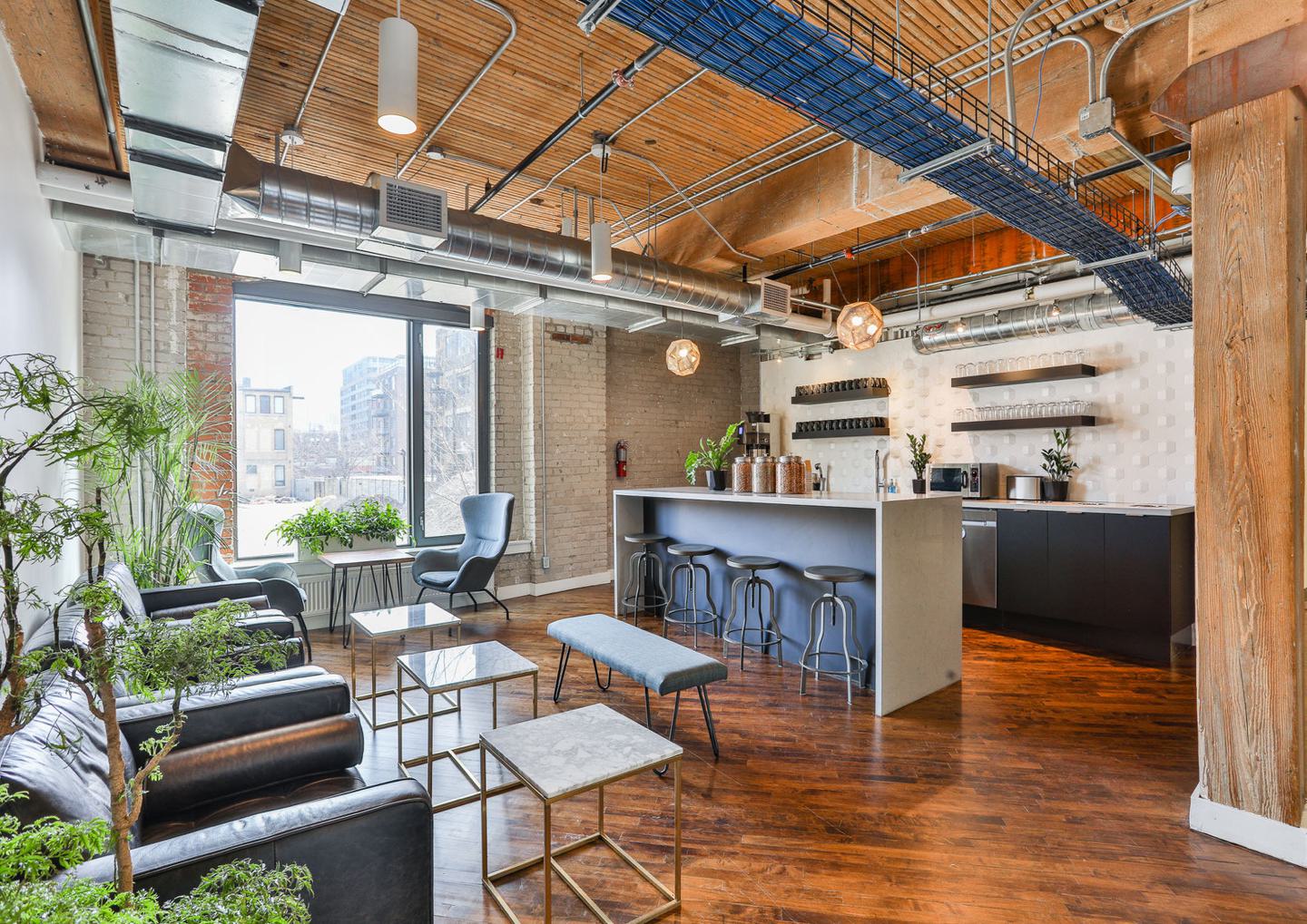 The interior of a shared office space provided by IQ.