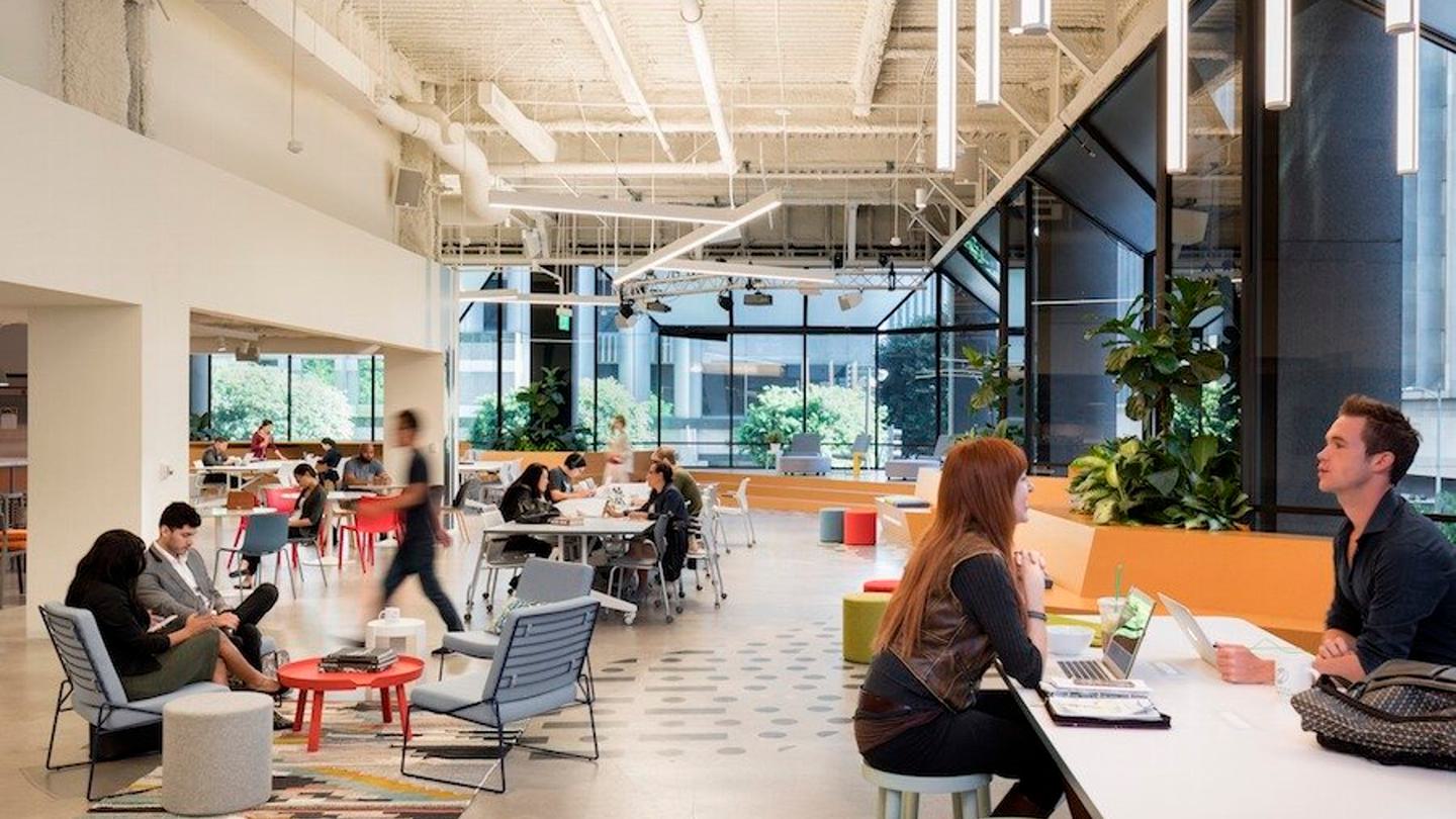 The interior of a shared office space provided by Cross Campus.
