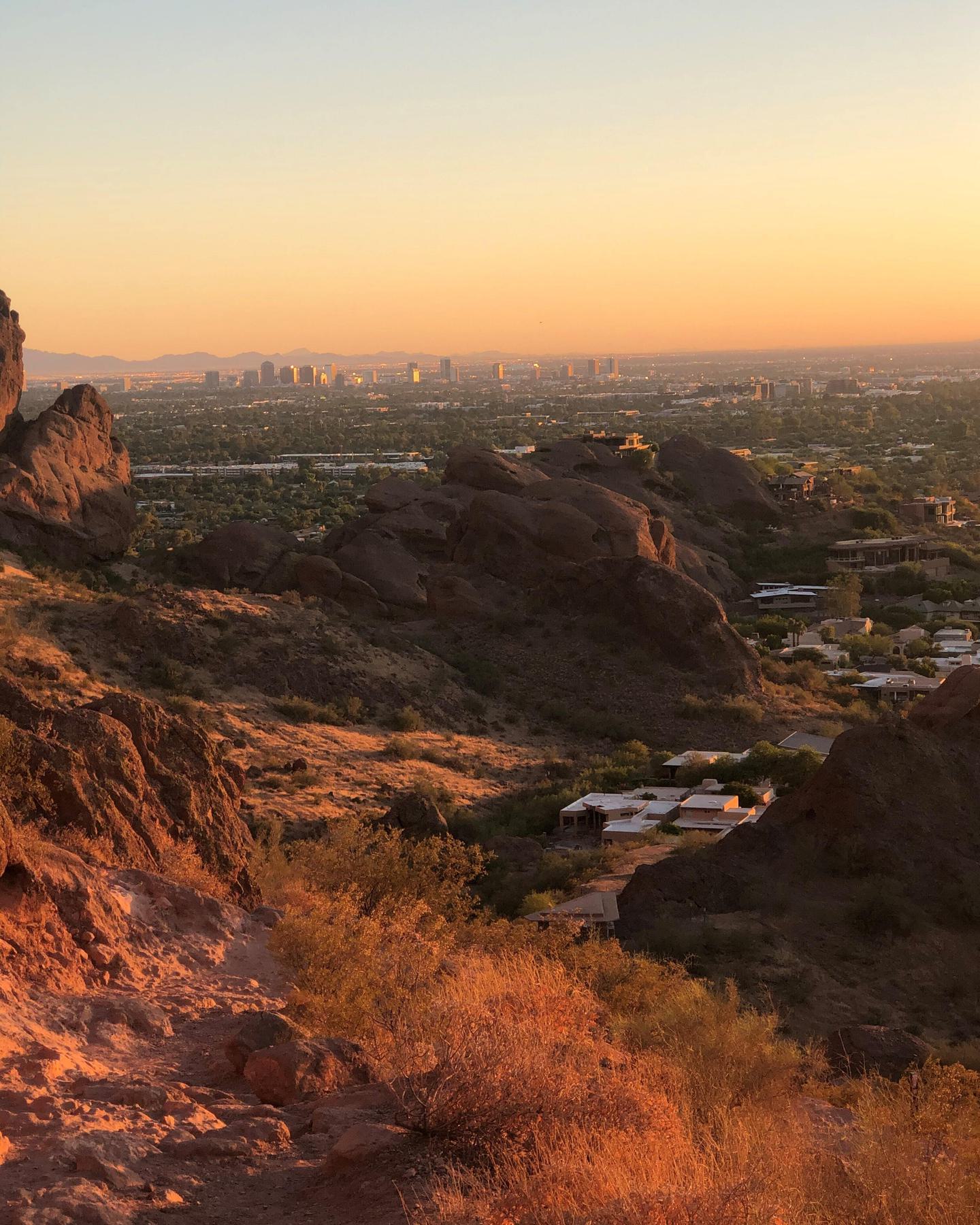 Phoenix 3