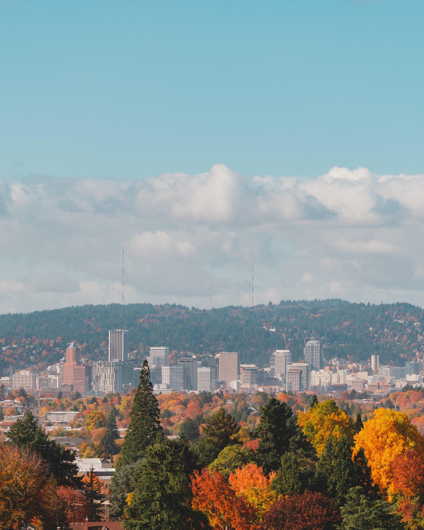 Portland 2
