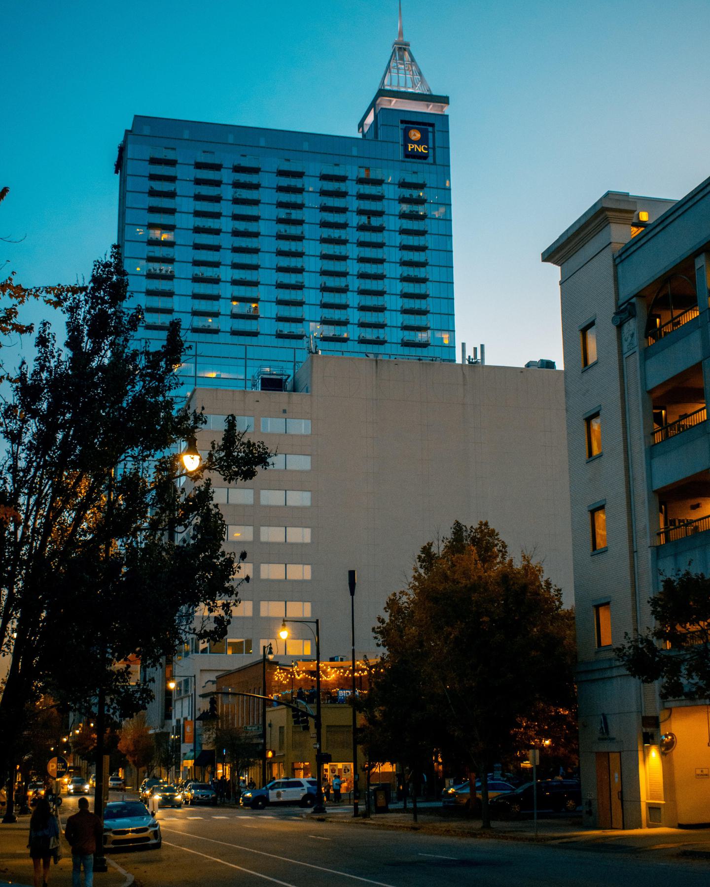 Raleigh 1